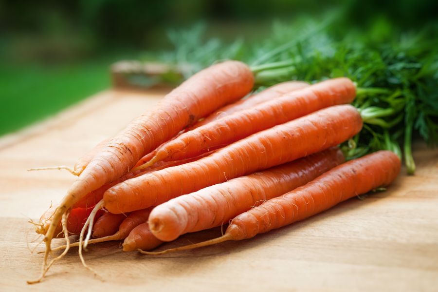 Carotte, légume courant d'une alimentation équilibrée